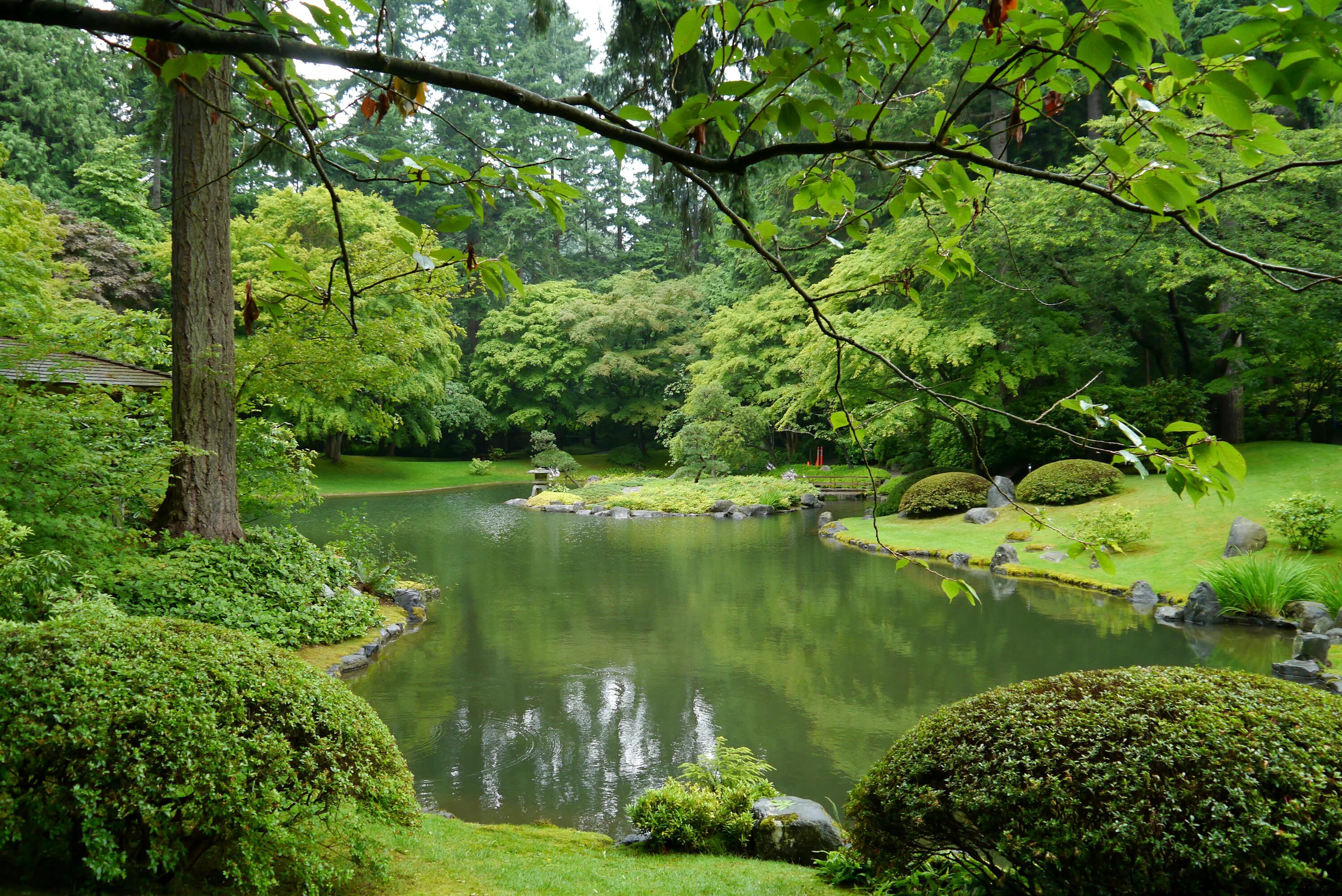 Река разварня истринский район. Лодка на берегу озера. Японский сад нитобэ в городе ванкувер. Зеленый пруд. Берег реки.