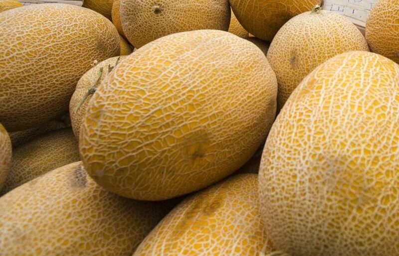 сорт дыни колхозница. дынный цвет. дыня боло. дыня голди f1. дыни форум отзывы.