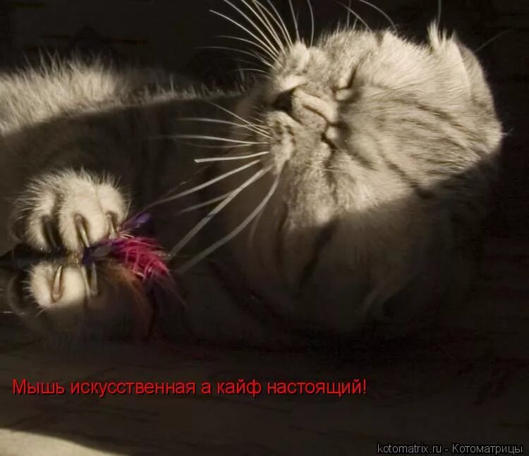 настоящий кайф