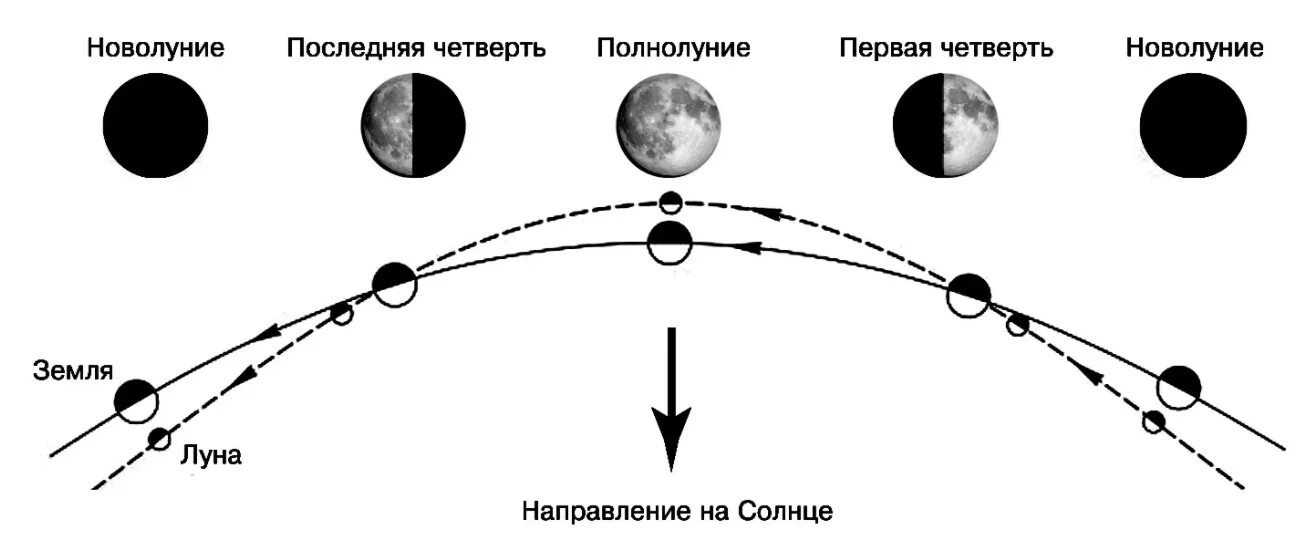 Фаза Луны последняя четверть как выглядит. Первая четверть Луны. Фаза Луны первая четверть. Лунная фаза первой четверти. 3 месяца в лунах