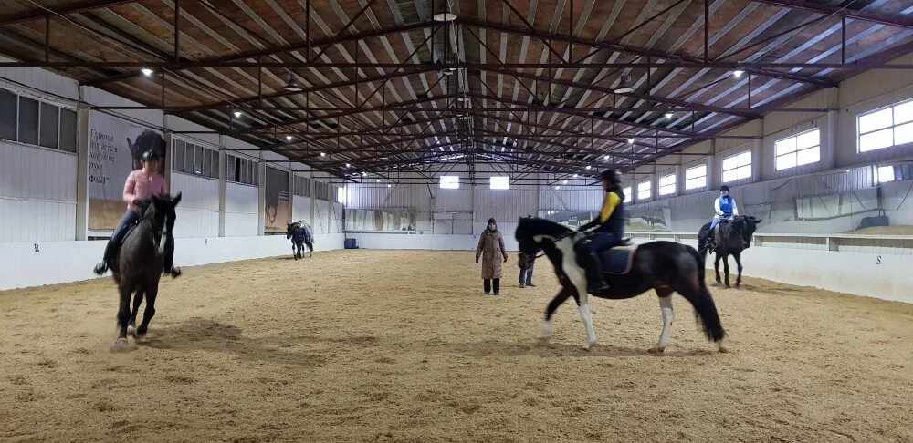Предприниматель на лошади. Конюшня solana stables. Проект конюшни на 2 головы. Конюшня минск. Конюшня проект.