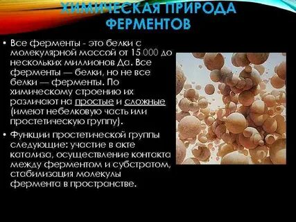 Ферменты сообщение по биологии