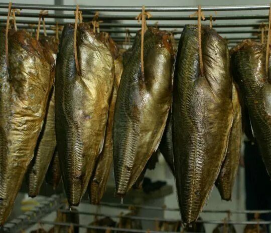 ставрида холодного копчения. ставридка черноморская копченая. ставрида хк. ставрида рыба холодного копчения. ставрида купить.