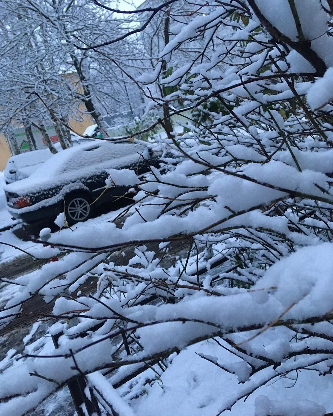 Жду снега. Снежное 14 год. Сильный снег. Донбасс снежное. Снежное 14 год.