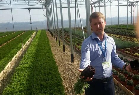 Розовый сад муниципальное образование краснодар хутор ленина
