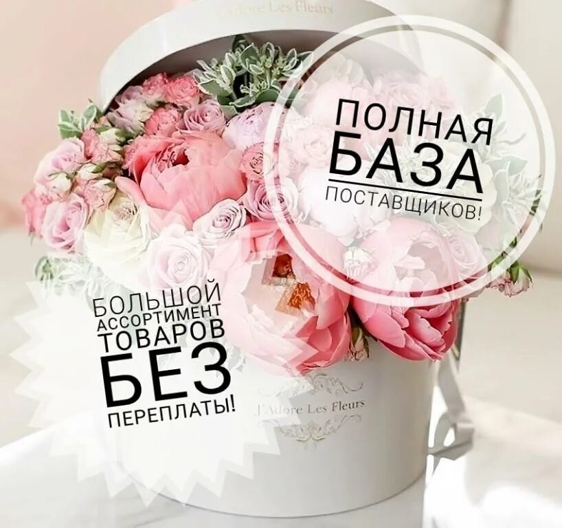 база поставщиков садовод. поставщики одежды в розницу. база поставщиков одежды. турецкие детские магазины. база поставщиков для интернет магазина.