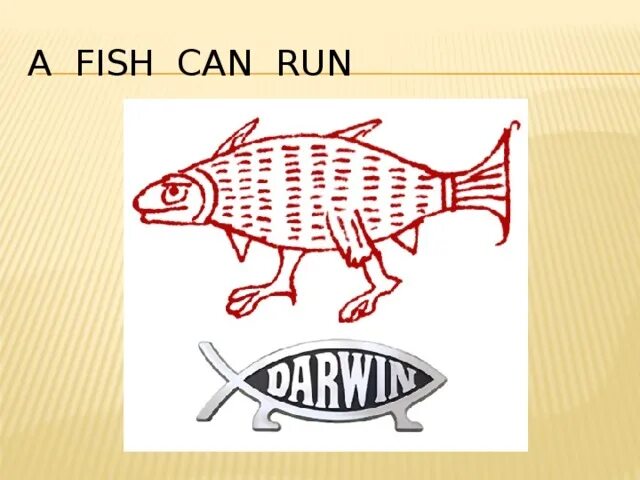 Спотлайт 2 i can jump. Fish can. Что умеют делать животные по английскому. Что не умеют делать животные на английском. I can swim like a fish.