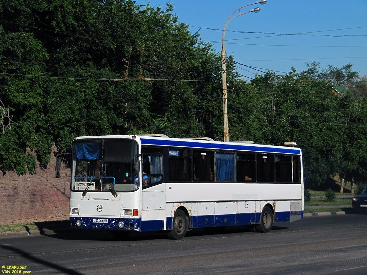 Автобус борисоглебск воронеж