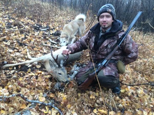 м охота. м охота. м охота. охотничье хозяйство. парнас-м охотничьи.