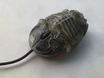 Мышь 13