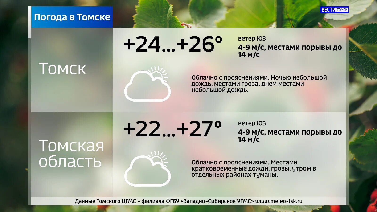 Погода томск февраль. Томск климат. Климат Томска летом. Томск погодные условия. Погода в Томске.