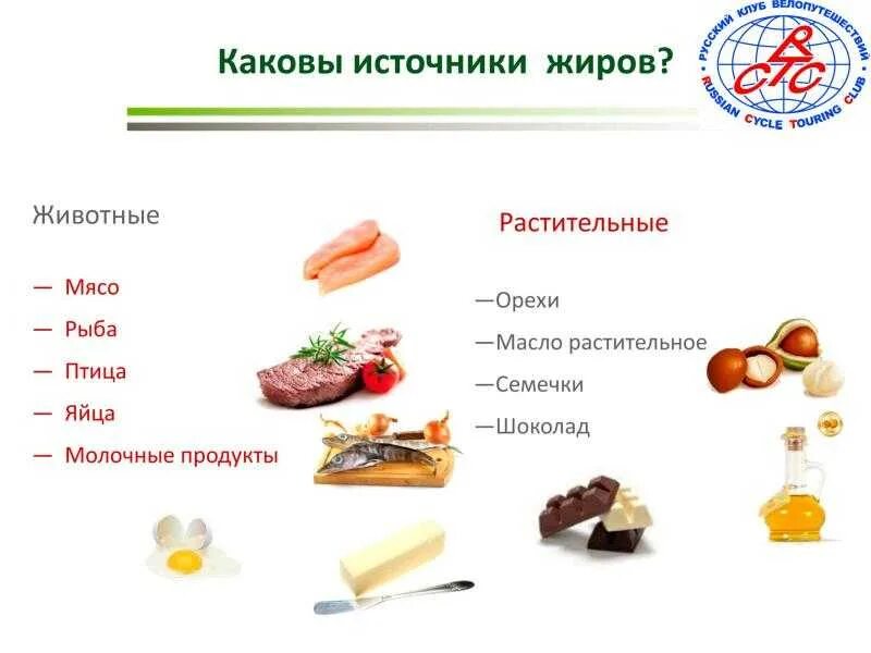 Какая пища содержит жиры. Источники растительных и животных жиров. жиры животного происхождения продукты список. растительные и животные жиры список продуктов таблица. растительные и животные жиры.