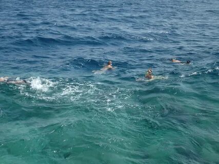 Красное море купание