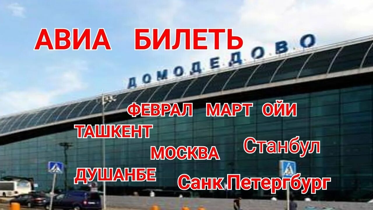 Аэропорт Самарканд 2022. Нархи билет Душанбе Москва аэропорт Домодедово 2022. Нархи билет Душанбе Москва аэропорт Домодедово. Домодедово Душанбе Воронеж аэропорт.