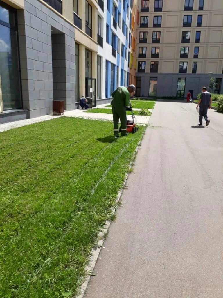 содержание мкд. требования к содержанию территории. общее имущество собственников в многоквартирном доме. размеры прилегающей территории многоквартирного дома. требования товарной безопасности.