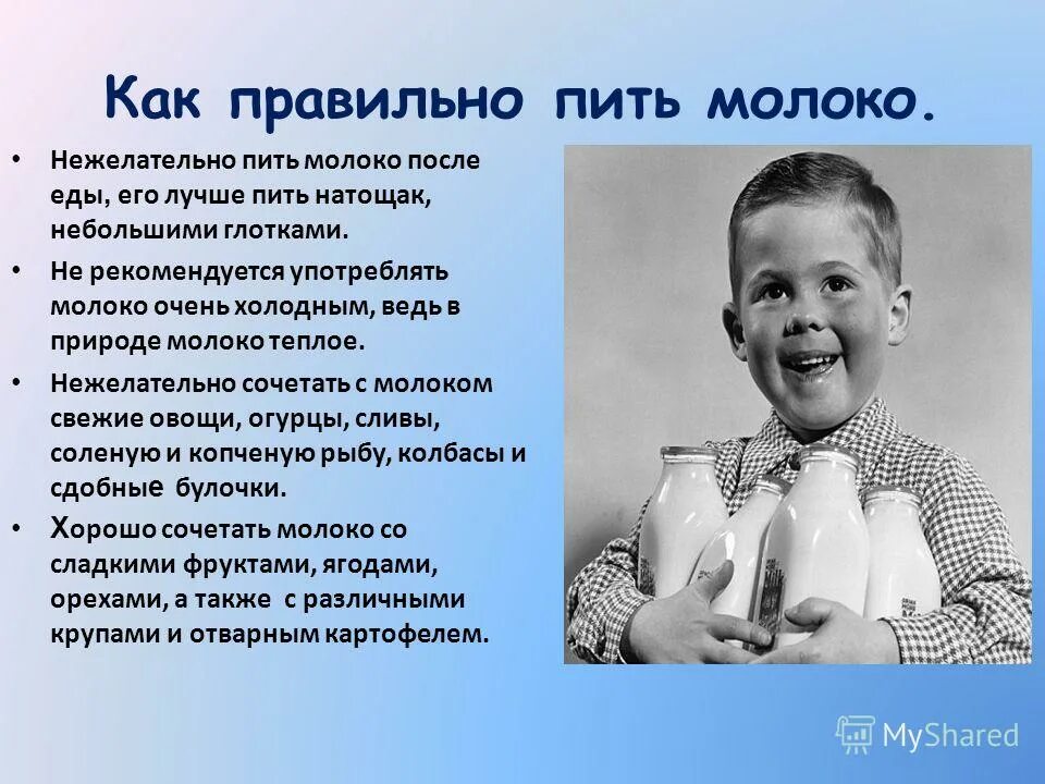 молоко которое нельзя пить список. почему люди не пьют молоко. говорящее молоко. молоко. молоко каких животных человек употребляет.