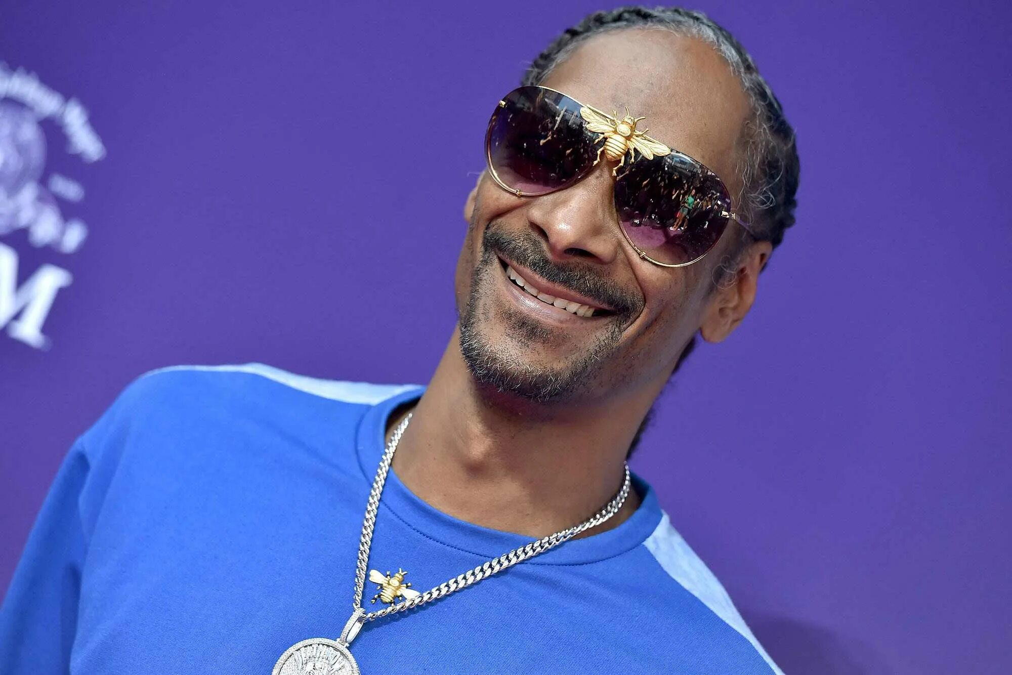 Snoop dogg fly high. Snoop Dogg. Snoopy Dog. Swamp Dog. Рэпер снуп дог.