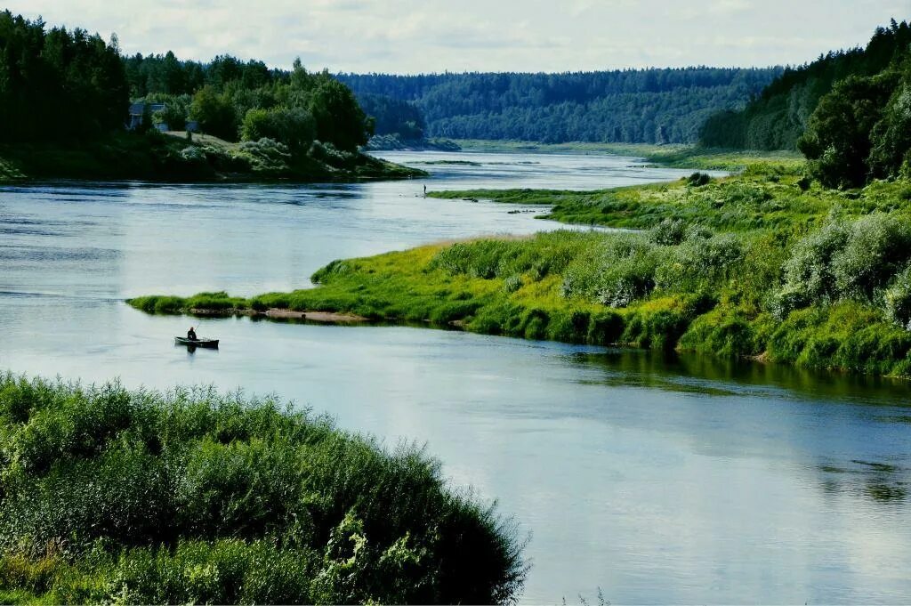 Видовое разнообразие реки. Латвия природа Даугава. Река Даугава в Латвии. Природный парк Даугавас Локи. Река Даугава Рига.