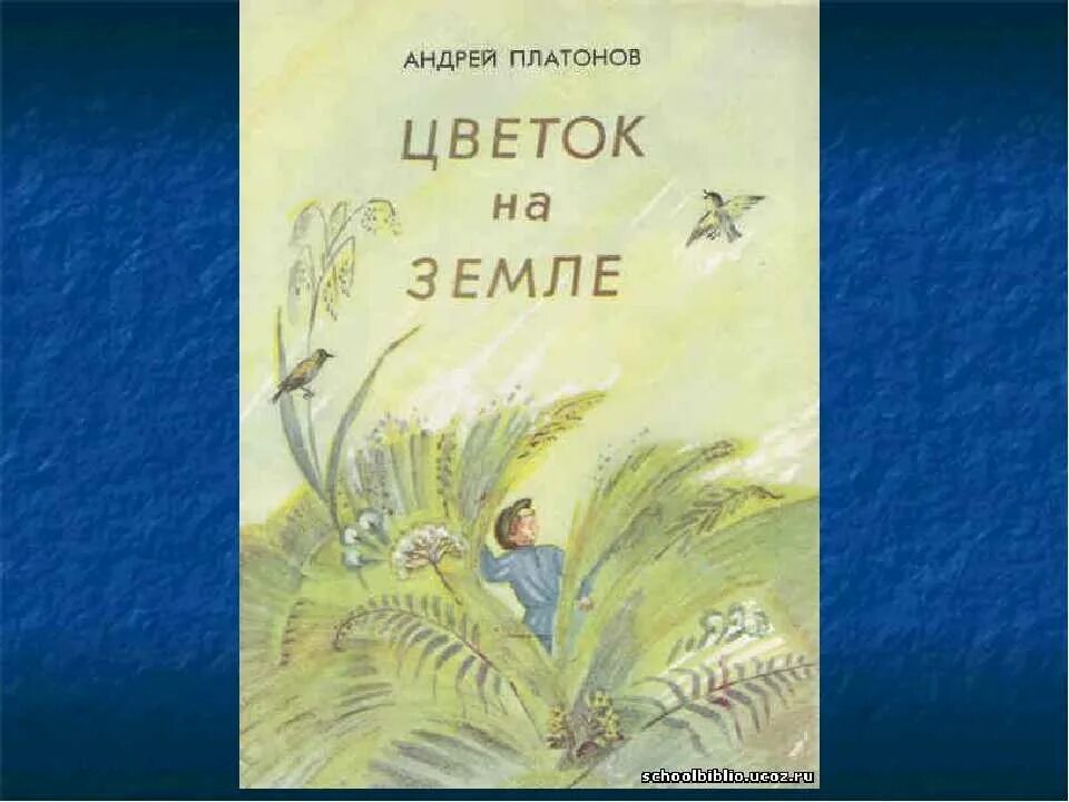 Тест по рассказу цветок на земле. Андрея Платоновича Платонова «цветок на земле». Произведение цветок на земле а Платонов.