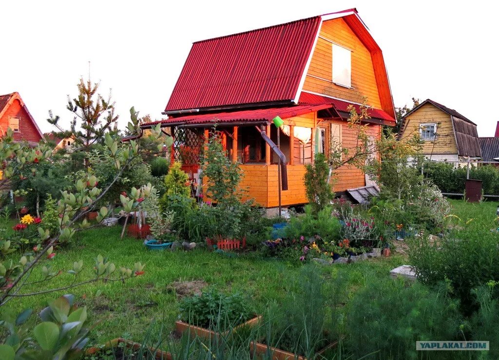 Сады покупка продажа. На даче. Дачное товарищество. Дачные домик в садоводсве. Дачный дом в СНТ.