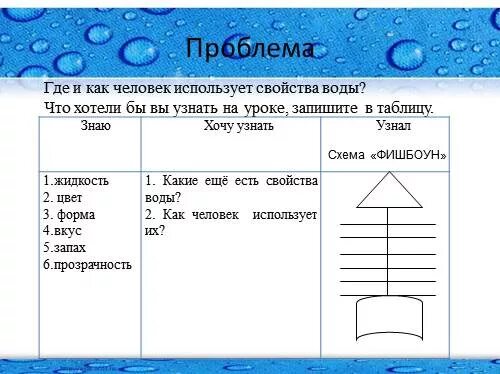 Детский сад № 3 - Алгоритмы экологических опытов