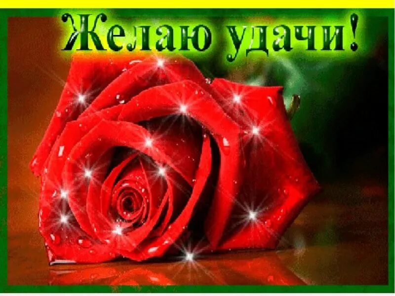 Высказывания стучаться в закрытую дверь. Желать раскрытый. Безгрешными приходим и грешим веселыми приходим и скорбим. Открытки с пожеланием удачи. Цитаты психологов про одиночество.