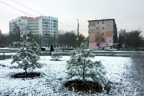 Погода в элисте в ноябре 2024