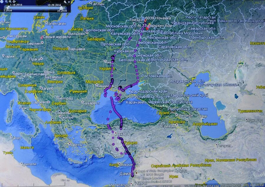 Куда летят гуси весной в россии. Карта миграции гусей в России. Пути миграции журавлей на карте. Маршрут миграции журавлей. Маршруты миграции уток.