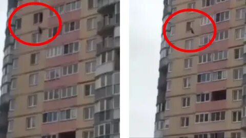 Тг упал сегодня
