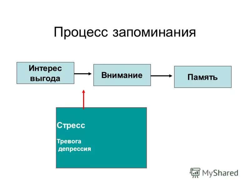 выгода интерес. выгода для клиента в продажах. выгода интерес. выгода интерес. успешные переговоры.
