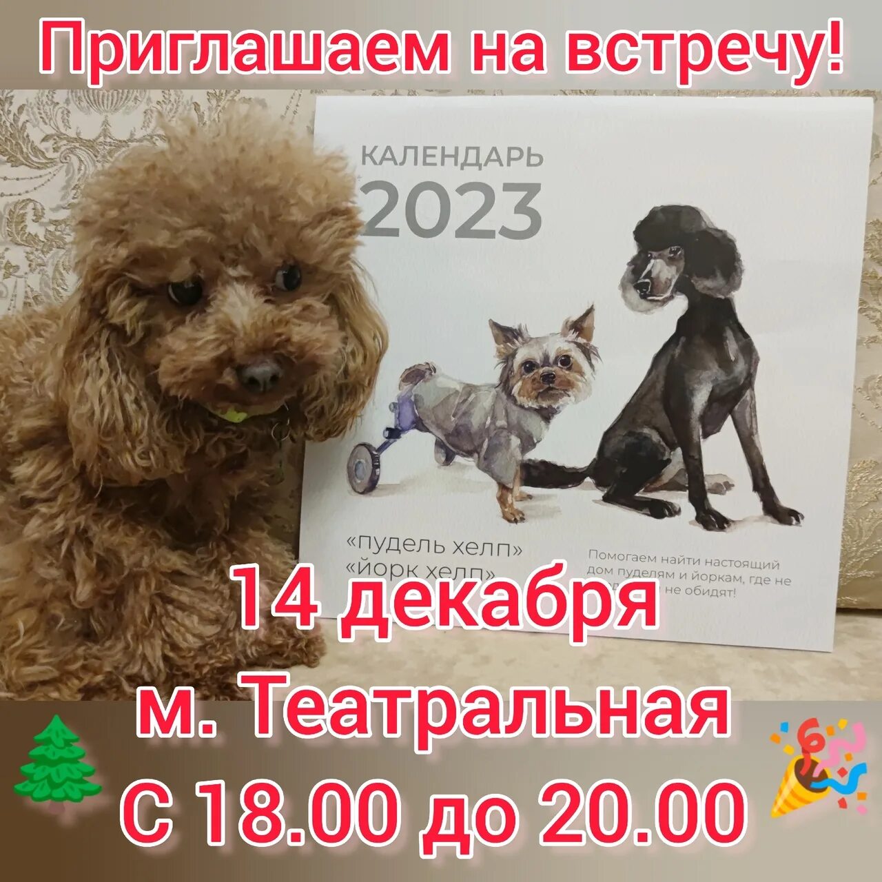Помочь пуделю