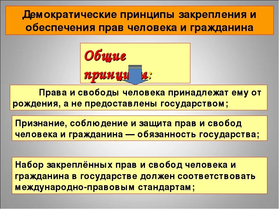 Правильные решения власти. Государства по защите прав человека. Принципы прав и свобод человека.