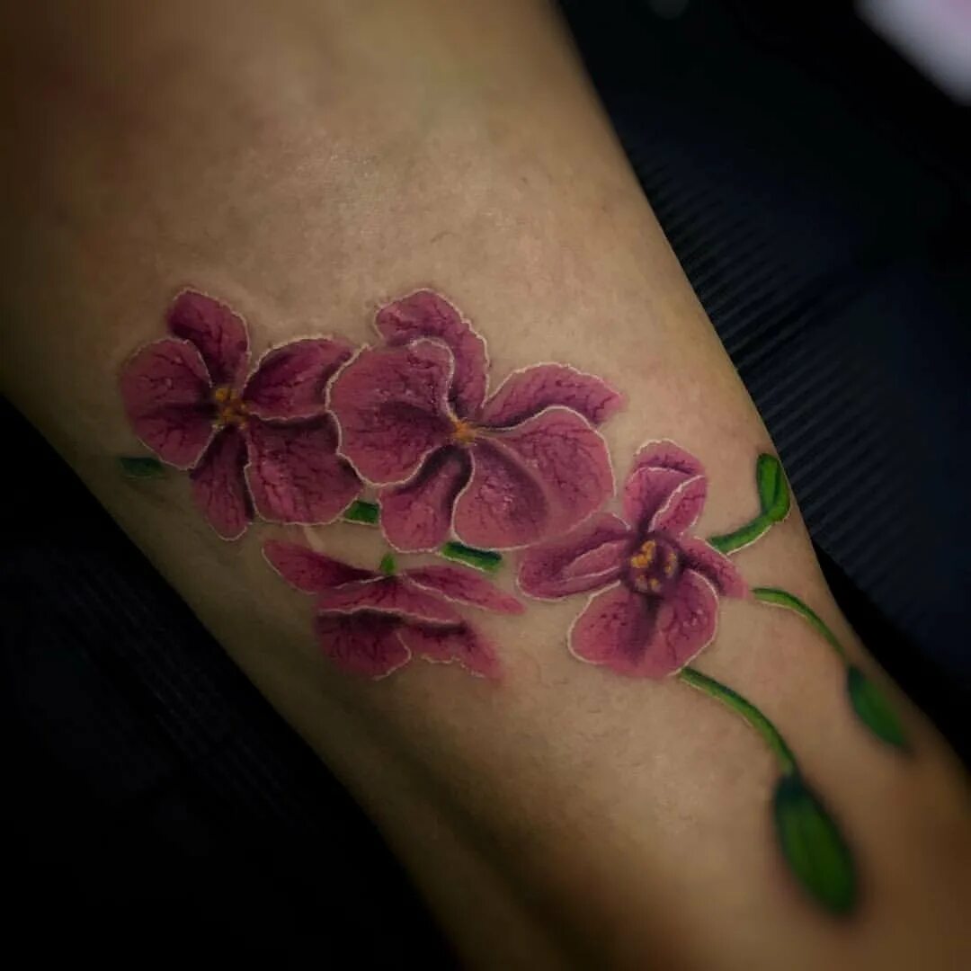 Тату орхидея на спину черная. Тату цветы орхидеи. Тату цветы орхидеи. Тату орхидея на ключице. Тату орхидея значение.
