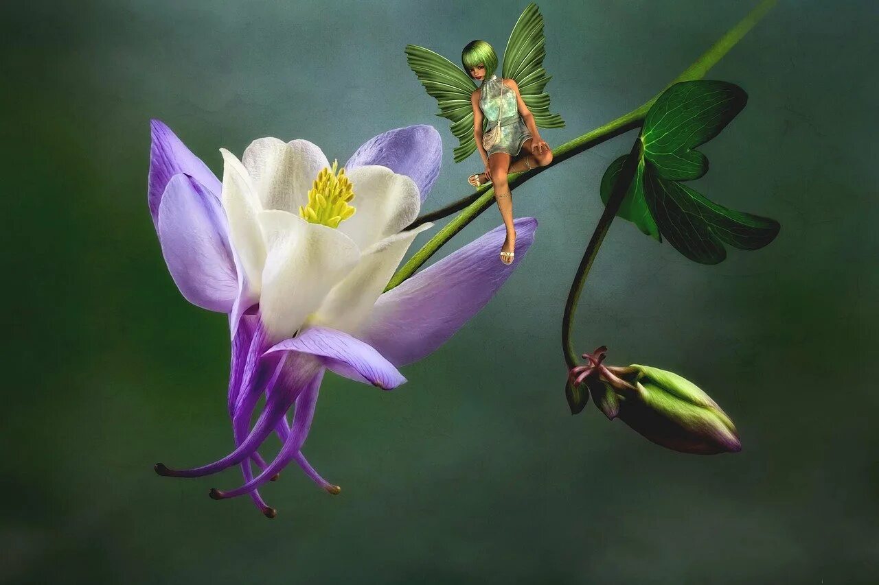 Крыло бабочки макро. Эхинацея пчела. Стрекоза радужница зеленая. Ангельские слезы цветок. Стрекоза желто розовая.