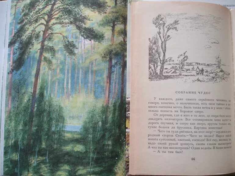 Рассказ акварельные краски паустовский. Собрание чудес Паустовский. К.Г Паустовский рассказ собрание чудес. Паустовский собрание чудес иллюстрации.