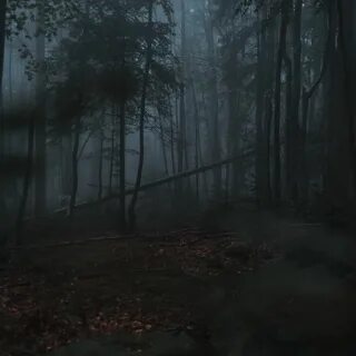 Зловещие травы