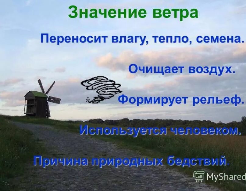 Какие существуют ветры. Название ветра. Названия ветров. Виды ветра названия. Виды ветров Муссон.