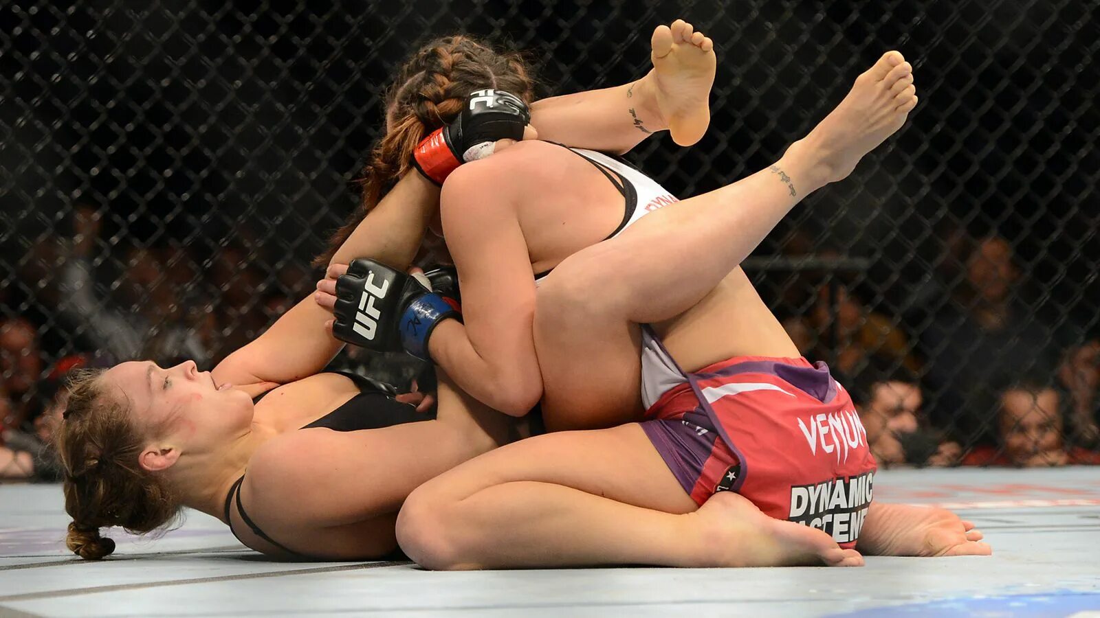 Алина бритаева вольная борьба. Кетфайт борьба женская борьба. Любительская борьба женщины. Борьба между девушками. Эмили эддисон рестлинг.