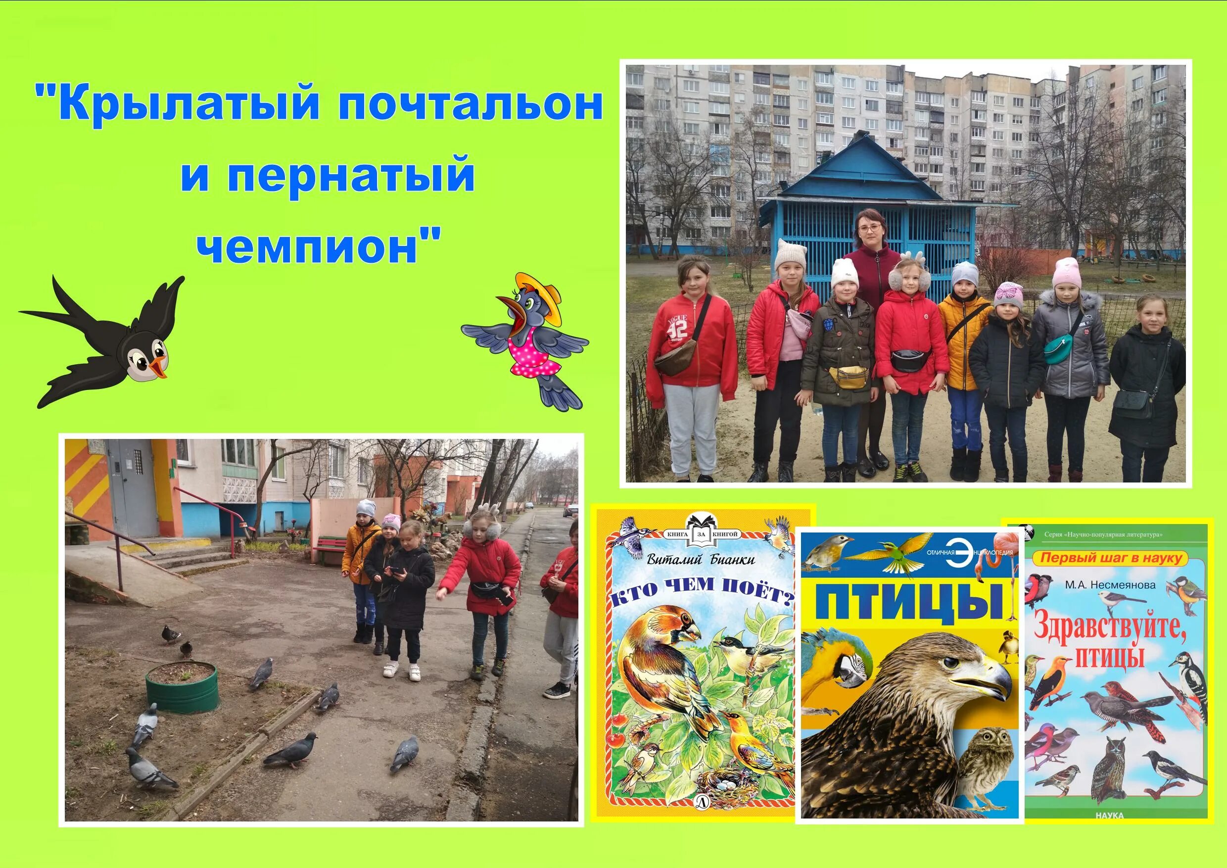 Эко-выставка «крылатый почтальон и пернатый чемпион». Почтовый голубь для детей. Крылатый почтальон. Почтовый голубь. Эко-выставка «крылатый почтальон и пернатый чемпион».