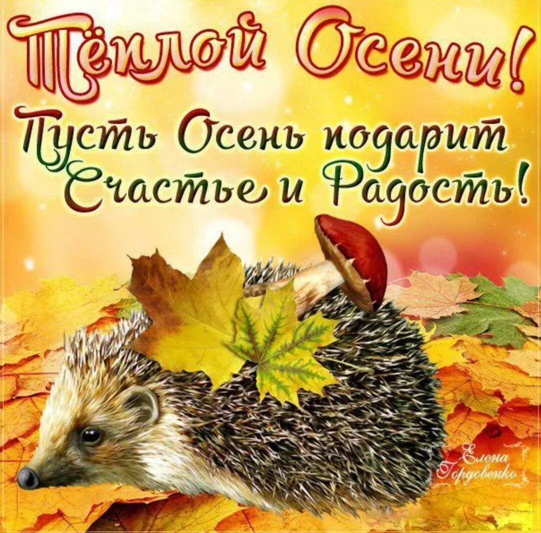 Бесплатные картинки с новым сентябрьским днем