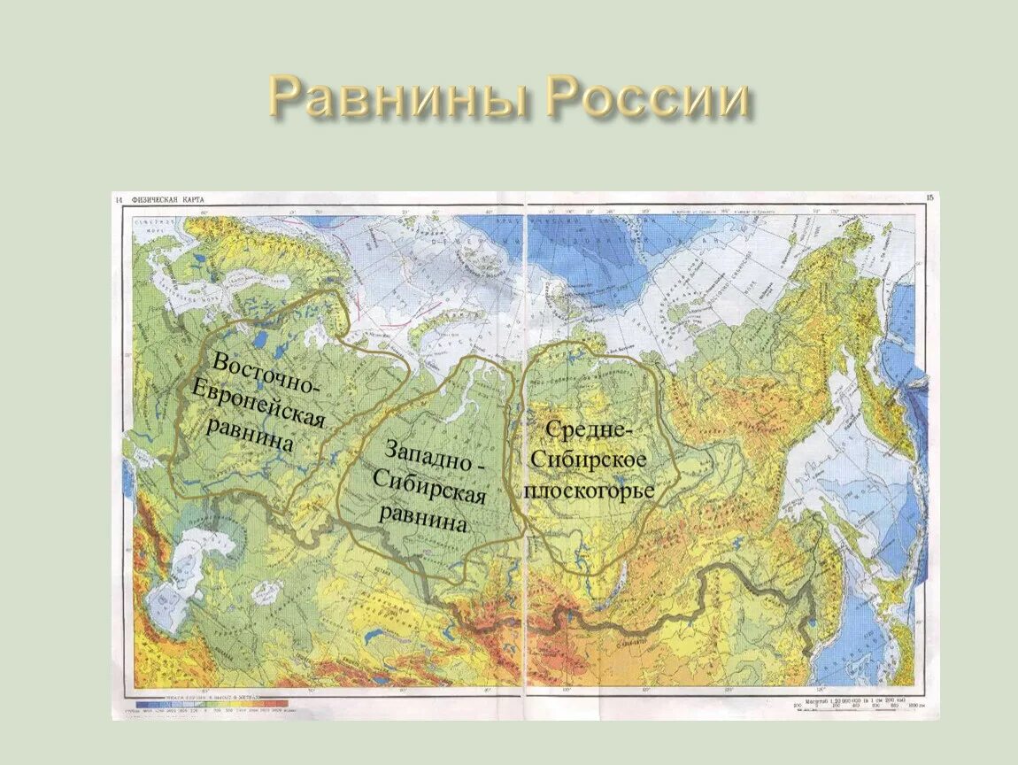 10 названий равнин. Восточно-европейская и Западно-Сибирская равнины на карте России. Физическая карта России с равнинами и плоскогорьями. Карта России с равнинами и горами 4 класс. Карта равнин России 4 класс окружающий мир.