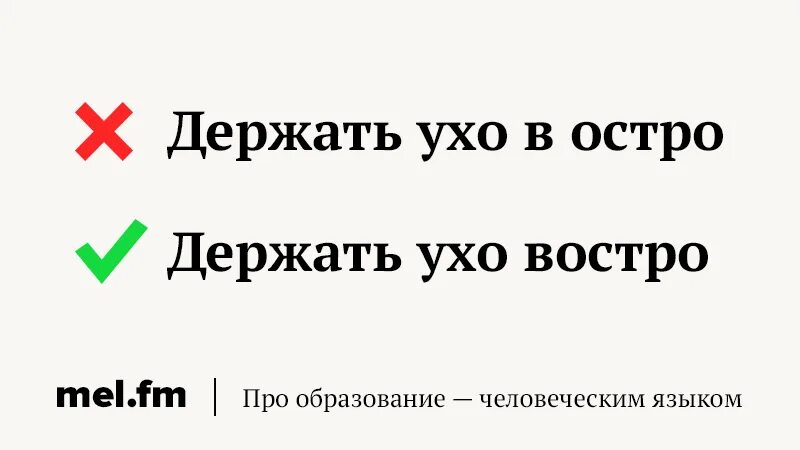 Что значит пикантный. Держать ухо востро фразеологизм. Держи ухо востро. Ухо в остро или востро. Держать ухо востро картинка.