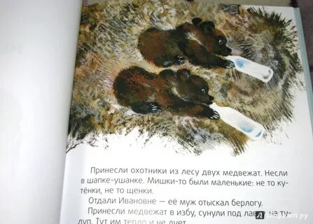 Произведение про медведя