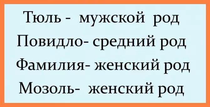 Про мужской род. Мозоль какой род. Мозоль род мужской. Какого рода слово мозоль. Мозоль род мужской или женский.