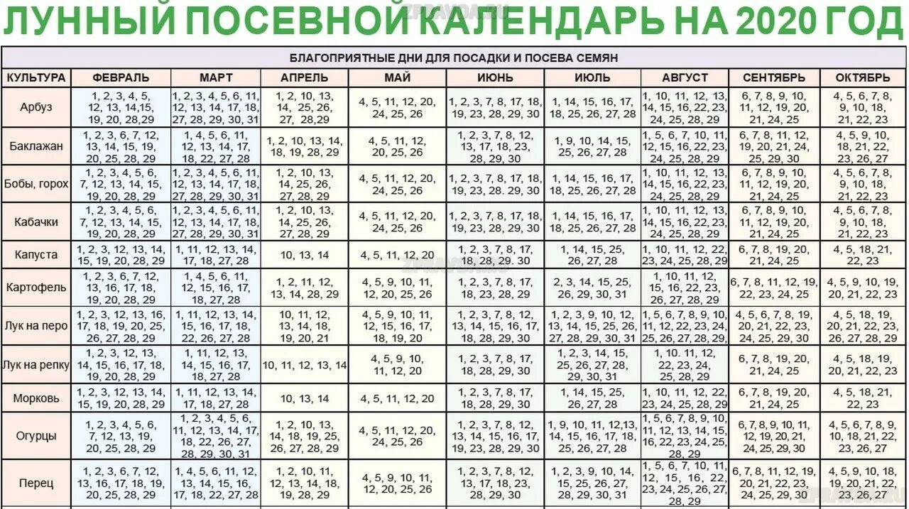 Лунный календарь посадок. Благоприятные дни для Посад. Лунный календарь для посева. Благоприятныеидни для поспдки. Когда можно сажать картошку в 2024 году