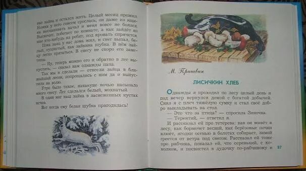 Язык сказок и рассказов паустовского. Рассказы Паустовского о животных Паустовского. Произведения Паустовского про животных короткие. Рассказ Паустовского о животных короткий. Паустовский рассказы о животных 3 класс.