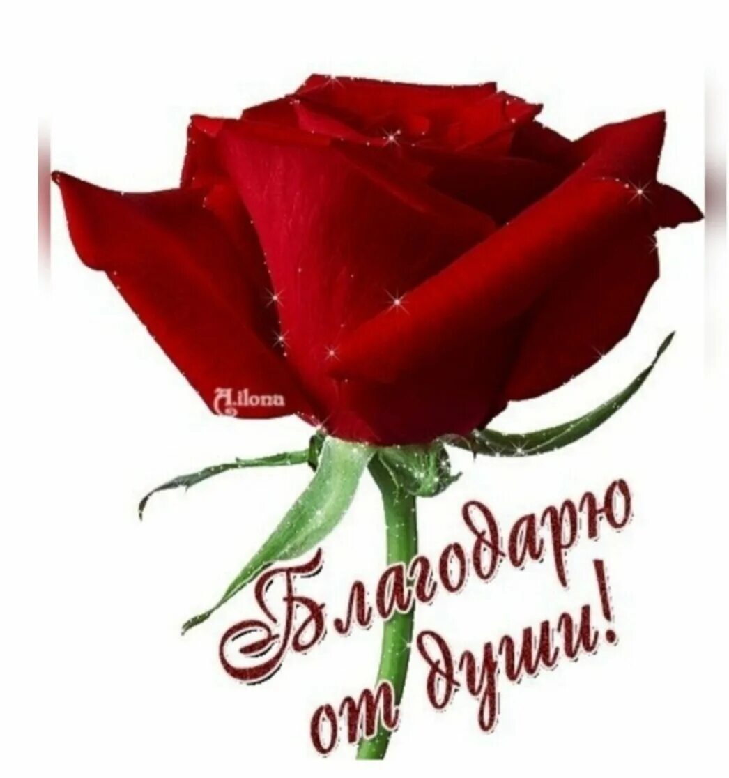 08 24. Для тебя картинки. 08 24. От всей души благодарю картинки гифки. Открытка благодарю от души.