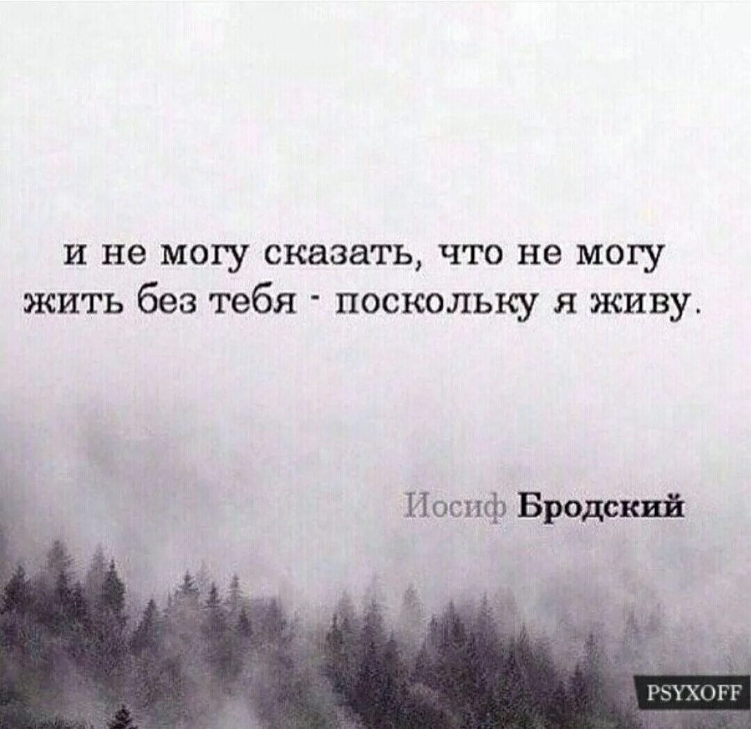 Не могу без бывшего. И не могу сказать что не могу жить без тебя поскольку я живу бродский. цитаты бродского о любви. бродский фразы. иосиф бродский цитаты.
