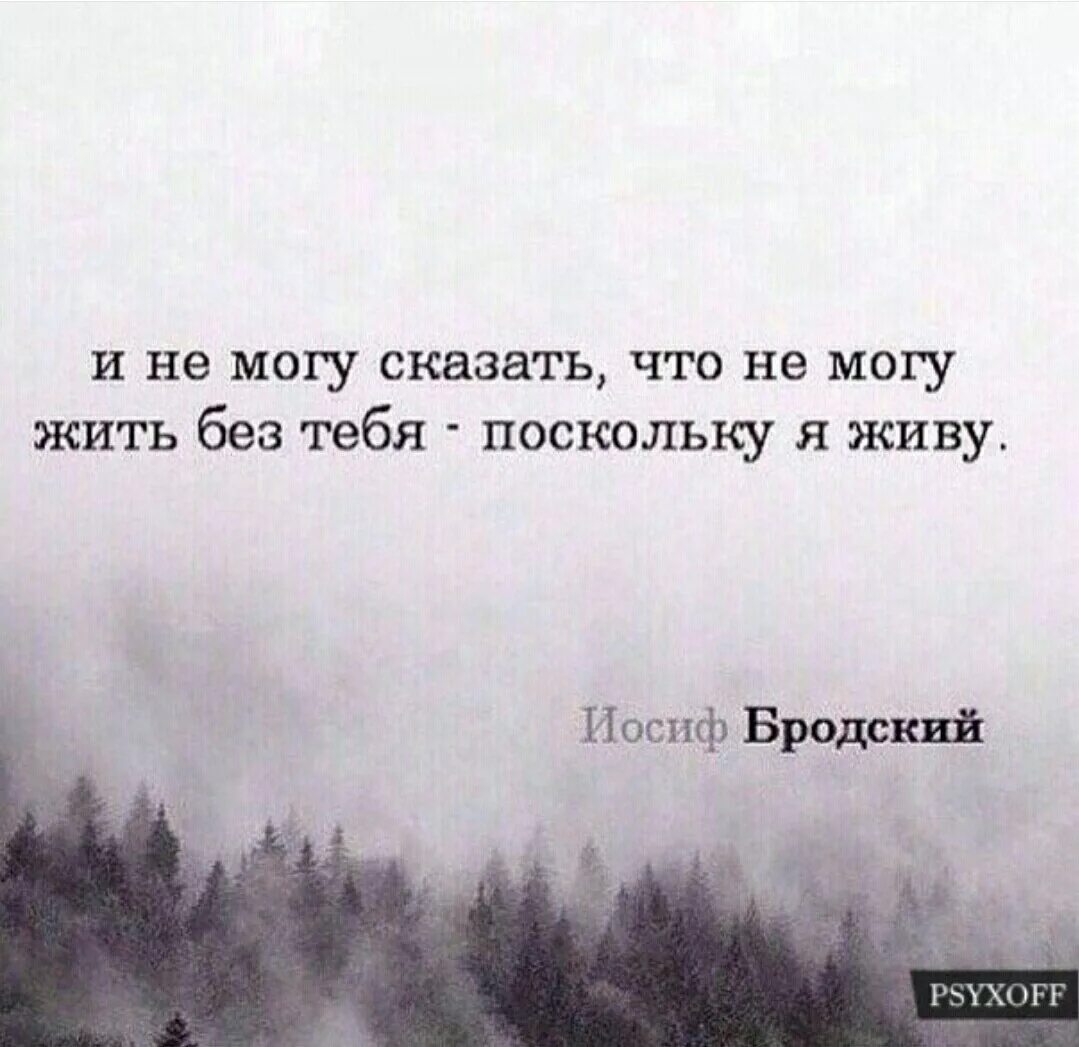 Я есть я существую я живу. И не могу сказать что не могу жить без тебя поскольку я живу Бродский. Цитаты Бродского о любви. Бродский фразы. Иосиф Бродский цитаты.