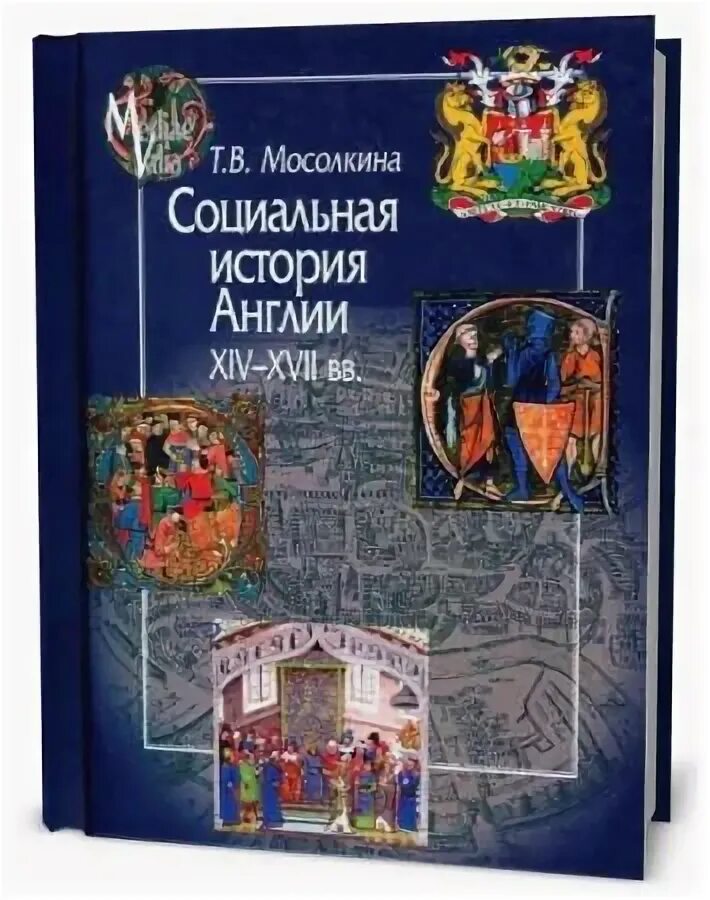 Книга социальная история. Мосолкина историк.